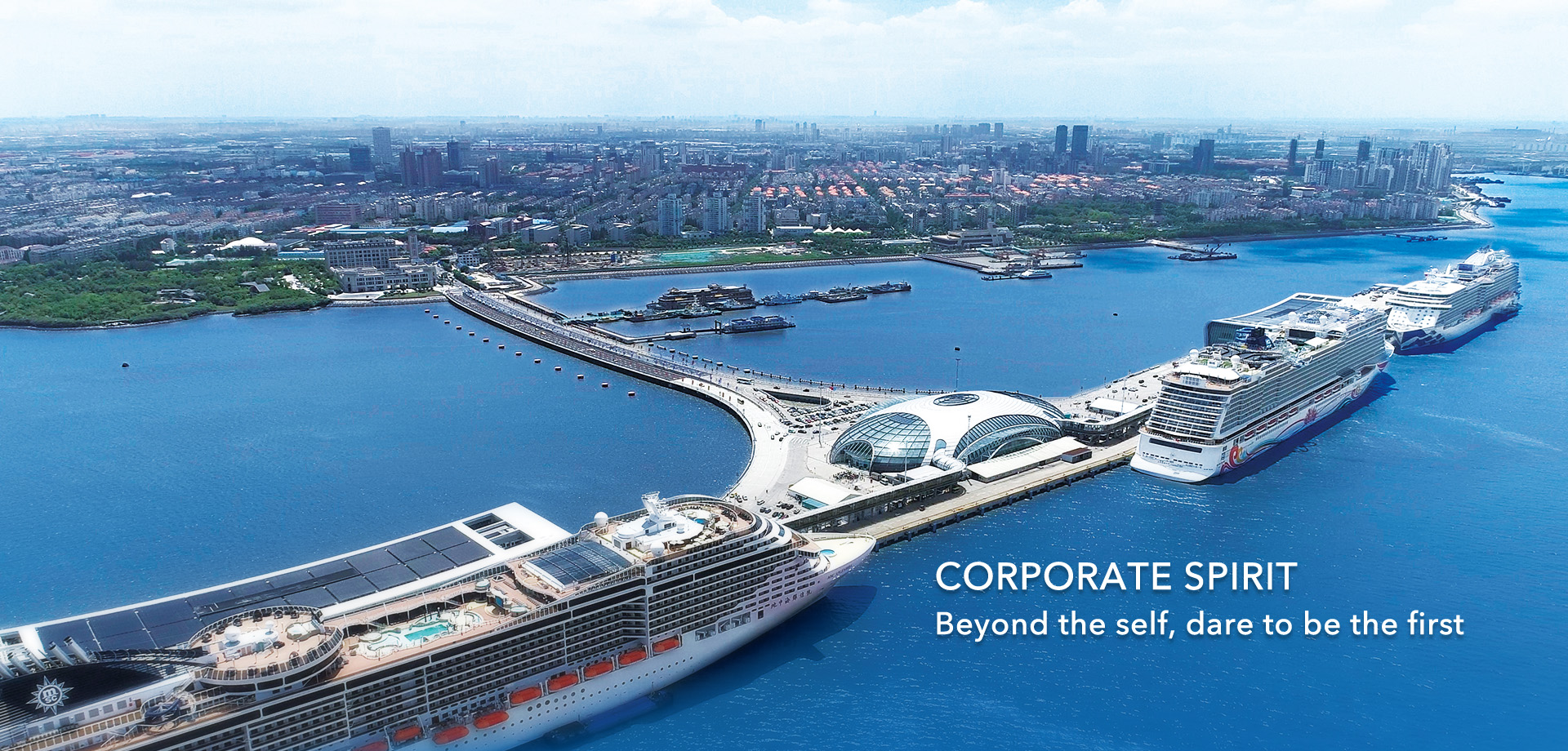 抖圈·(中国尊龙)为du而生官网