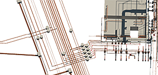 抖圈·(中国尊龙)为du而生官网