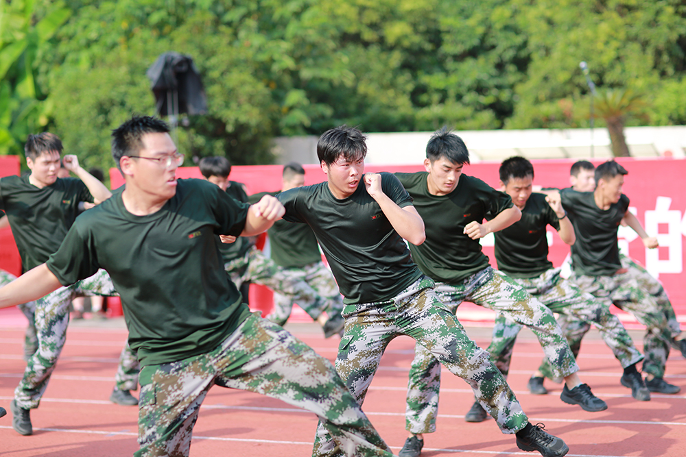 抖圈·(中国尊龙)为du而生官网